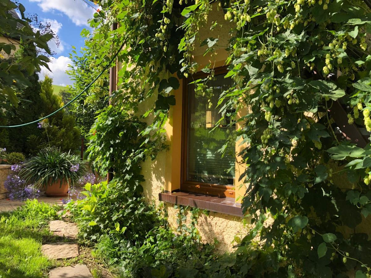 Ferienhaus Erzgebirge "An Der Trebe" Mit Kamin Und Sauna Neuhausen  Zewnętrze zdjęcie