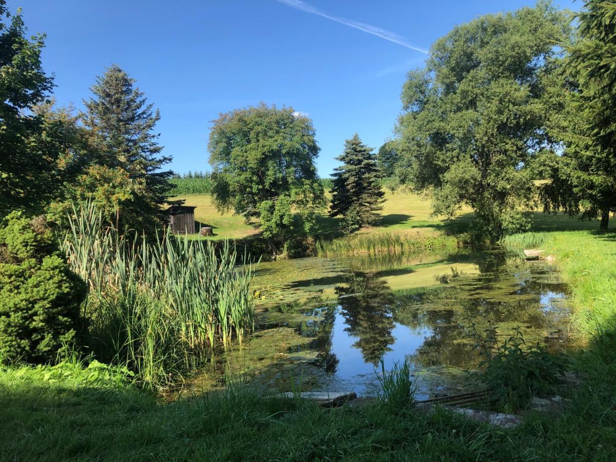 Ferienhaus Erzgebirge "An Der Trebe" Mit Kamin Und Sauna Neuhausen  Zewnętrze zdjęcie