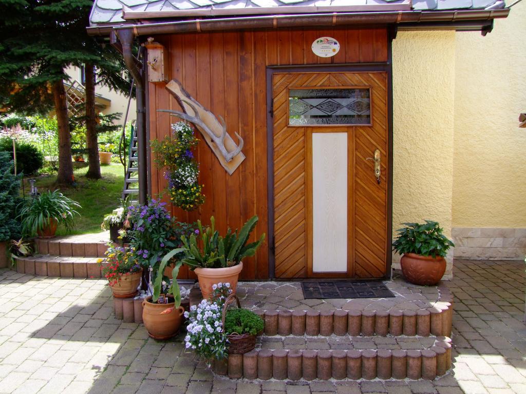 Ferienhaus Erzgebirge "An Der Trebe" Mit Kamin Und Sauna Neuhausen  Pokój zdjęcie