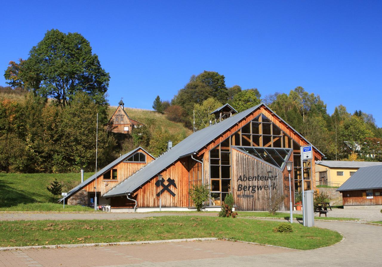Ferienhaus Erzgebirge "An Der Trebe" Mit Kamin Und Sauna Neuhausen  Zewnętrze zdjęcie